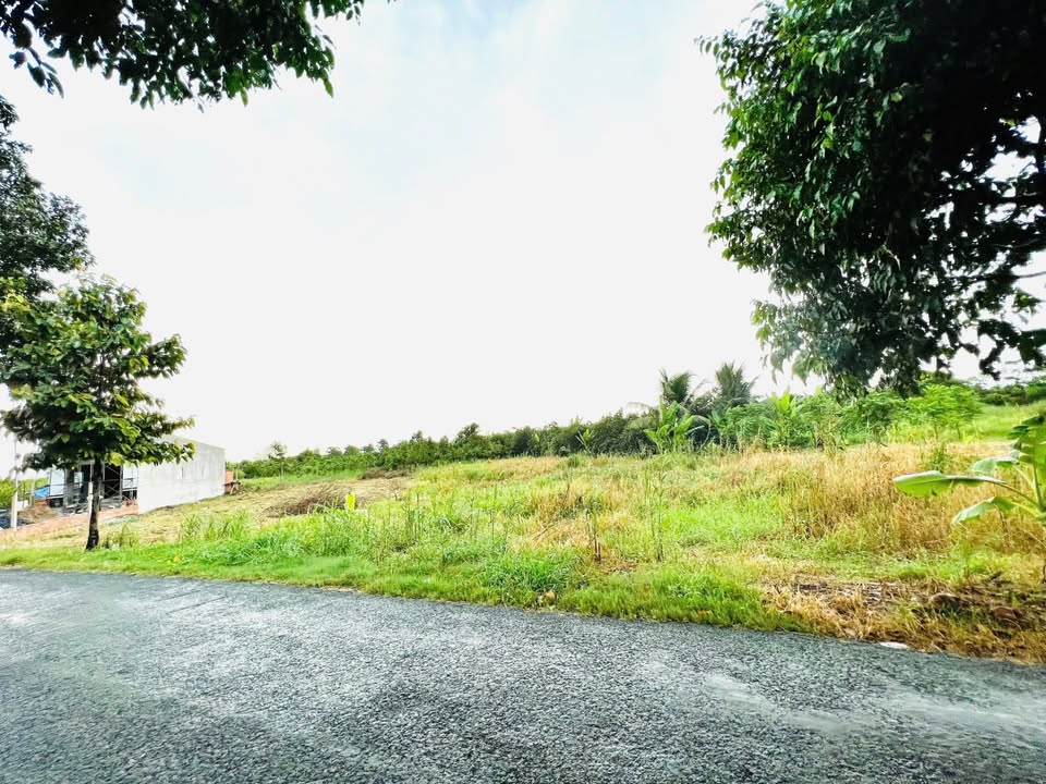 Đất mặt tiền kinh doanh Tỉnh Lộ 925, Châu Thành, Hậu Giang 3.380,6m² - Tiềm năng đầu tư sinh lời!