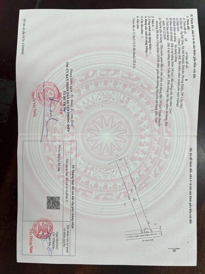 Đất vườn Phong Điền Cần Thơ 4425m² giá 12 tỷ - Cơ hội đầu tư chăn nuôi hấp dẫn!