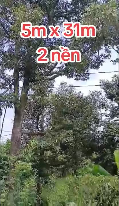 Đất nền Huyện Lộ 54C, Cai Lậy 310m² giá chỉ 900 triệu - Đầu tư sinh lời ngay!