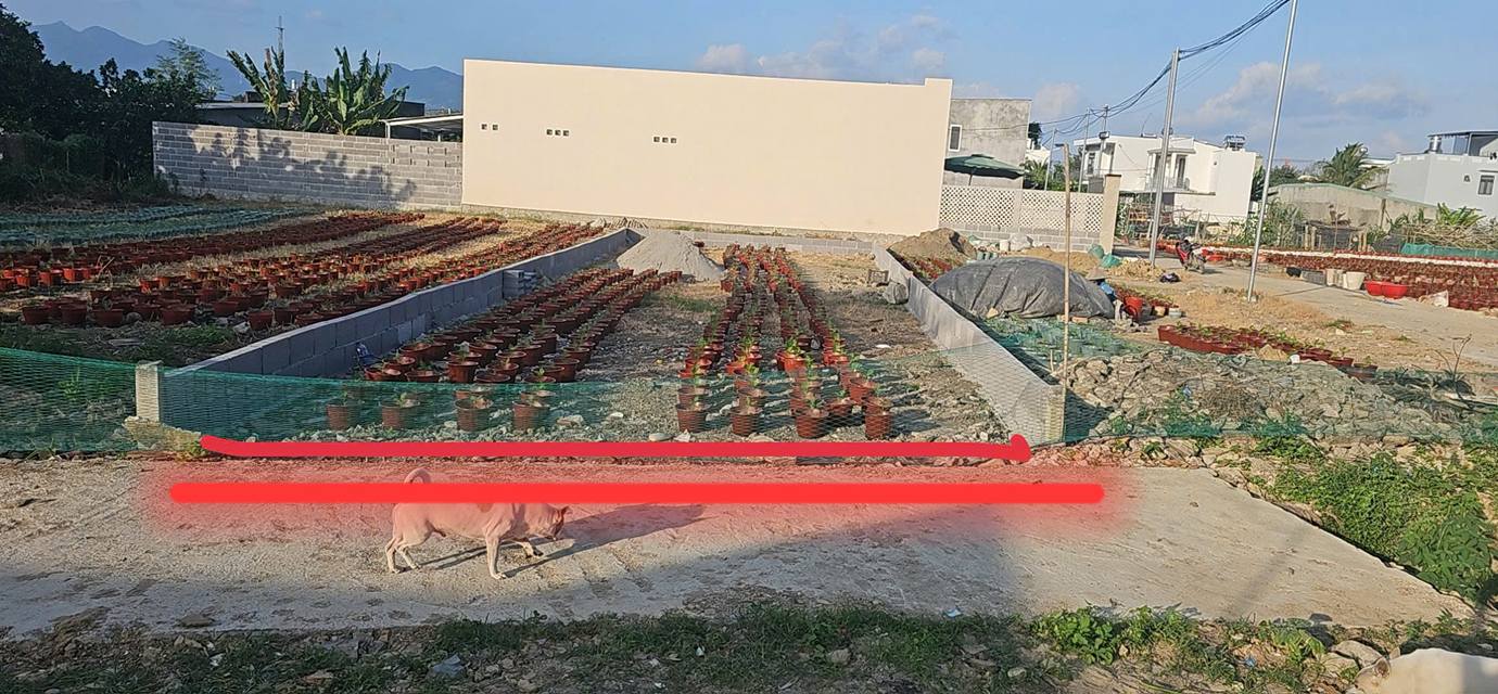 Đất nền Diên Toàn Diên Khánh 134m² giá 2.144 tỷ - Cơ hội đầu tư sinh lời!