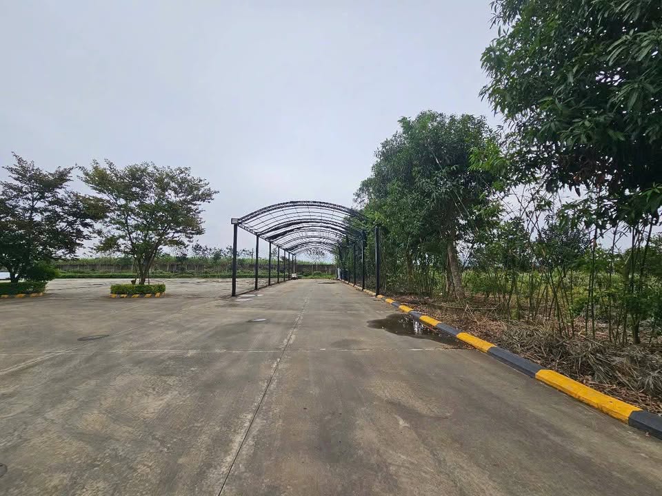 Trung tâm tổ chức sự kiện KingPlace Lam Sơn - Sao Vàng 18.100m² giá 52 tỷ - Cơ hội đầu tư tuyệt vời!