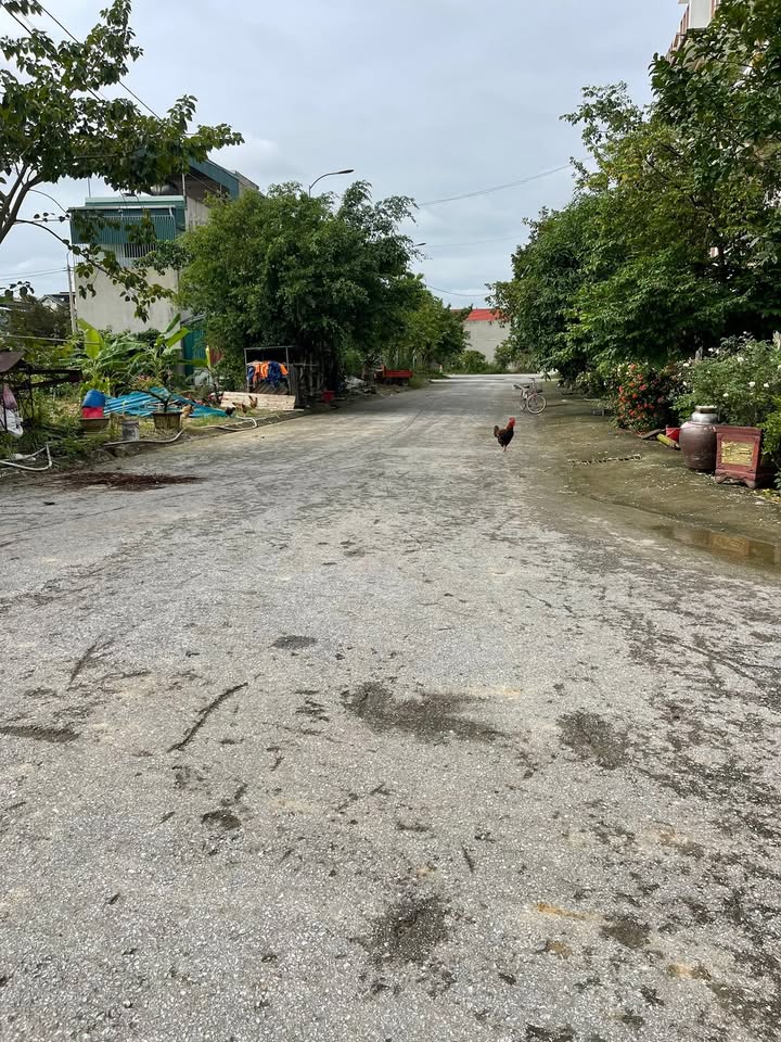 Đất nền Đông Tiến, Thanh Hóa 125m² giá chỉ 9xx triệu - Đầu tư sinh lời ngay!