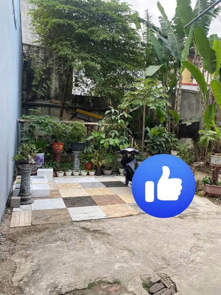 Lô đất Đông Thọ, Thanh Hóa 61.1m² giá 1.8 tỷ - Đầu tư sinh lời tuyệt vời!