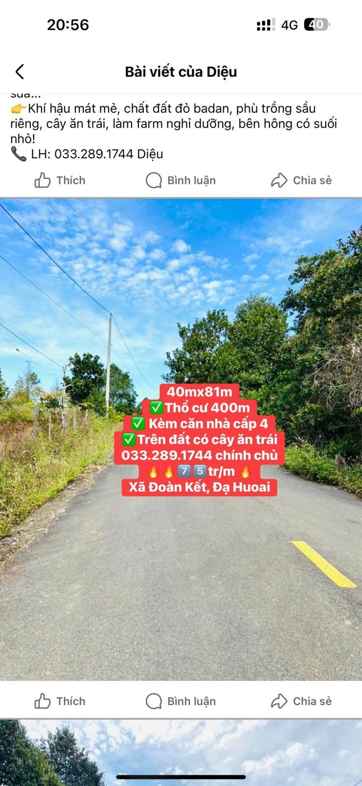 Đất nền Đạ Huoai 3240m² giá thỏa thuận - Tiềm năng đầu tư lớn!