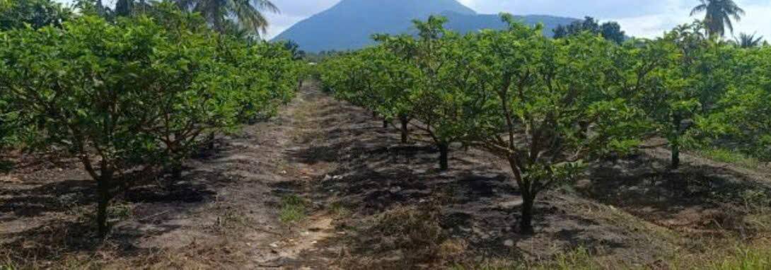 Đất nền 10.419m² tại Hẻm 25, Tân Hưng, Bà Rịa - Vũng Tàu giá 47 tỷ - Cơ hội đầu tư hấp dẫn!