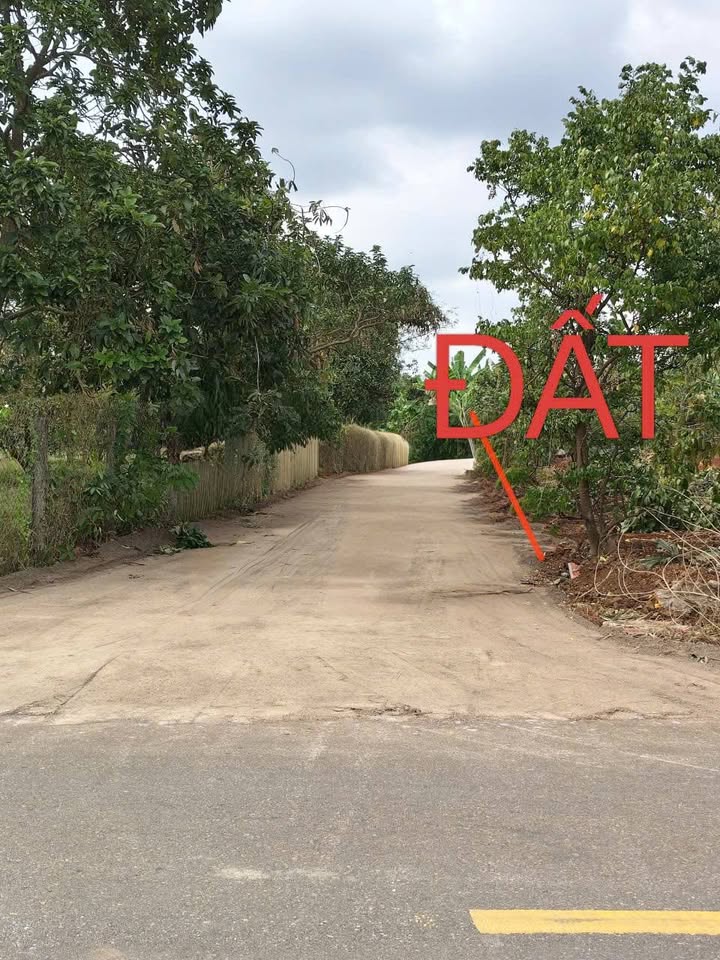 Đất nền Long Tân Đất Đỏ 125m² giá 550 triệu - Đầu tư sinh lời ngay!