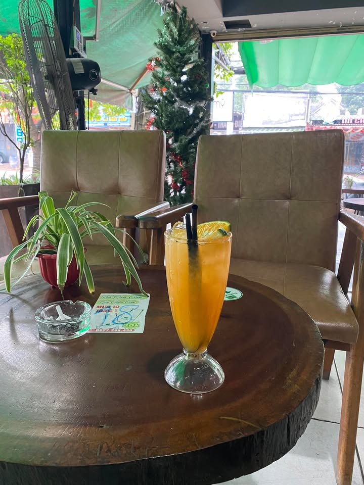 Đất thổ cư Bàu Cạn Long Thành 1350m² giá 3 tỷ - Tiềm năng đầu tư cao!