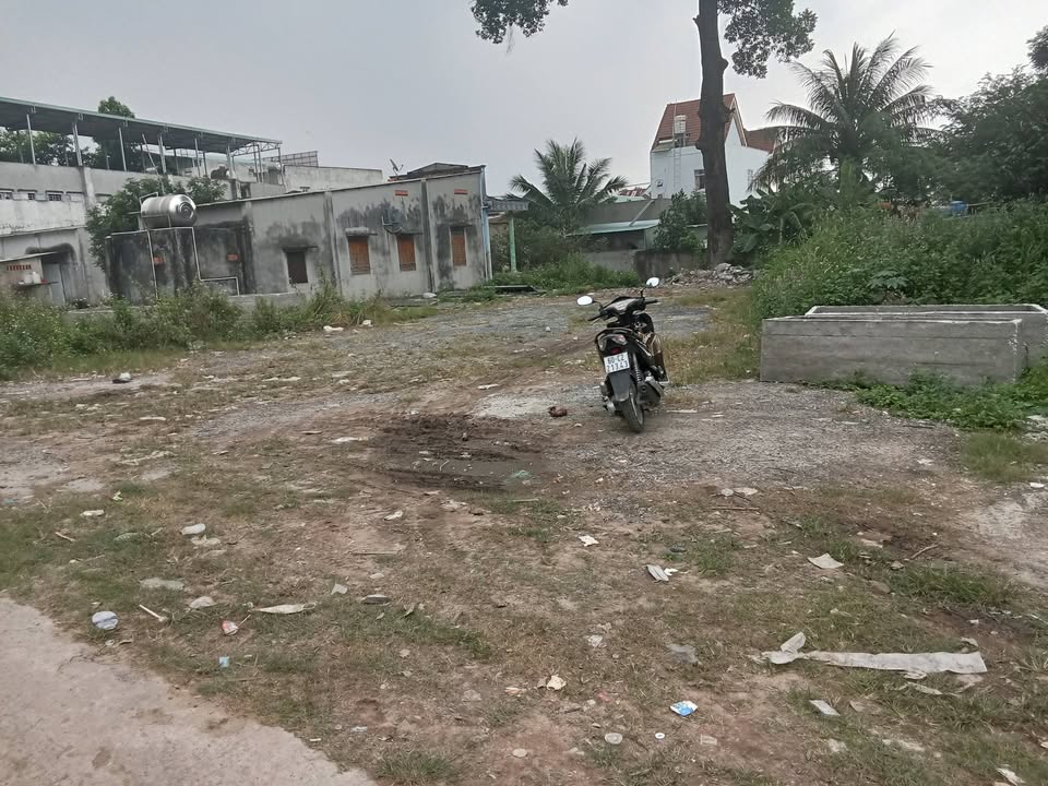 Đất thổ cư 600m² tại Ấp 2 Long Thọ - Giá chỉ 5.5 tỷ, cơ hội đầu tư tuyệt vời!