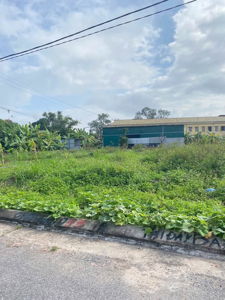 Đất nền dự án Nam Tiền, Hòa Bình, Kiến Xương 78,1m² - Đầu tư sinh lời tuyệt vời!