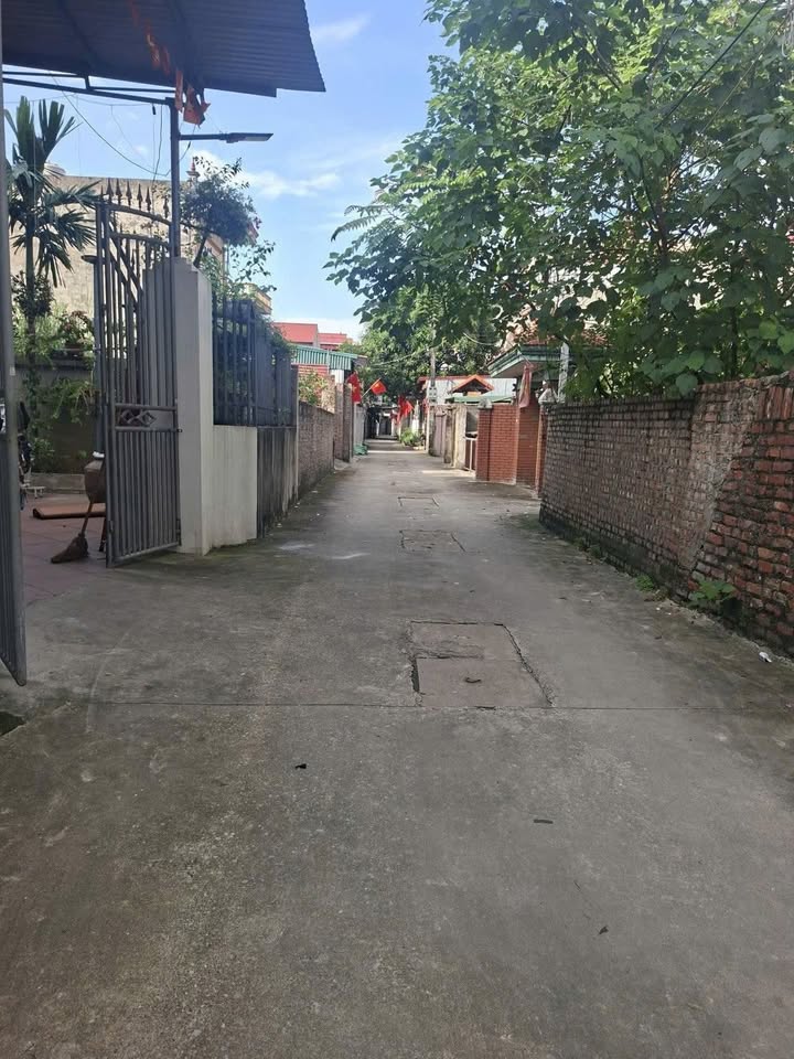 Đất thổ cư Mai Đình, Sóc Sơn 84,6m² giá 3 tỷ - Vị trí đắc địa, tiềm năng phát triển!