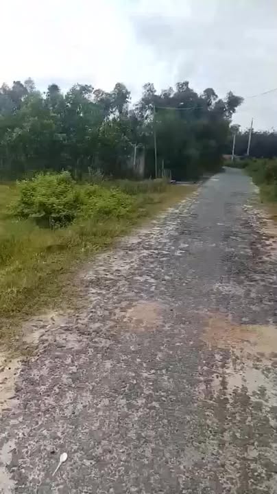 Đất nền ấp Long Hoà, xã Long Chữ 420m² giá 650 triệu - Đầu tư thông minh!