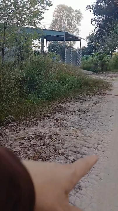 Đất nền Tân Châu 324m² giá 450 triệu - Cơ hội đầu tư tuyệt vời!