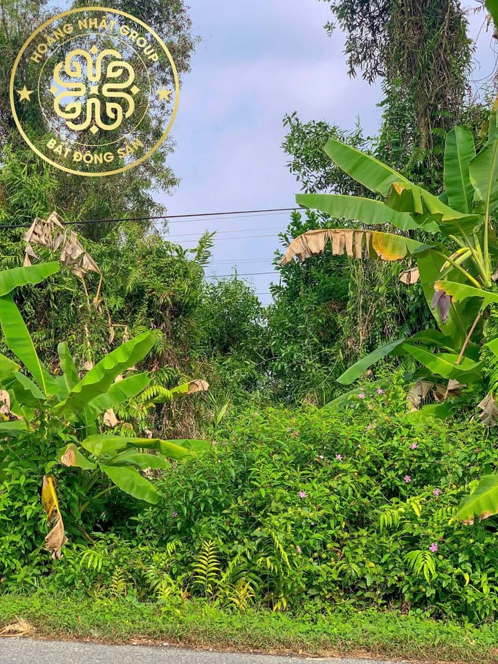 Đất nền mặt tiền đường 986A, U Minh, Cà Mau 500m² giá 480 triệu - Cơ hội đầu tư hấp dẫn!