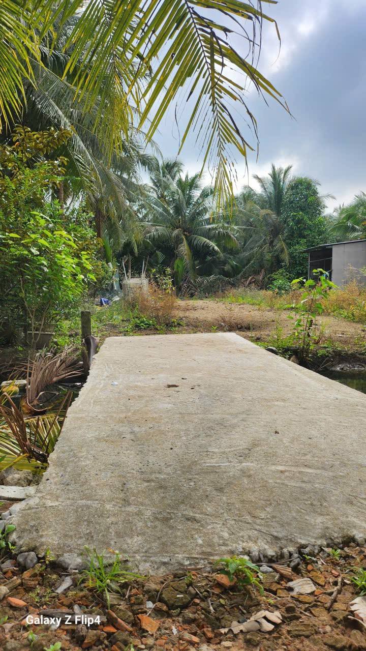 Đất nền liền kề Phường Trung An 125m² giá 530 triệu - Cơ hội đầu tư tốt!