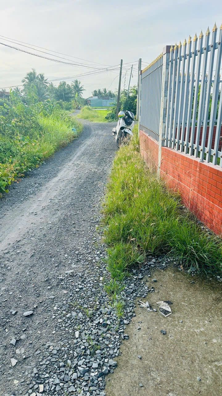 Bán gấp nhà vườn Ấp 4 Mỹ An, Thủ Thừa 1018m² giá 3 tỷ - Không thể bỏ lỡ!