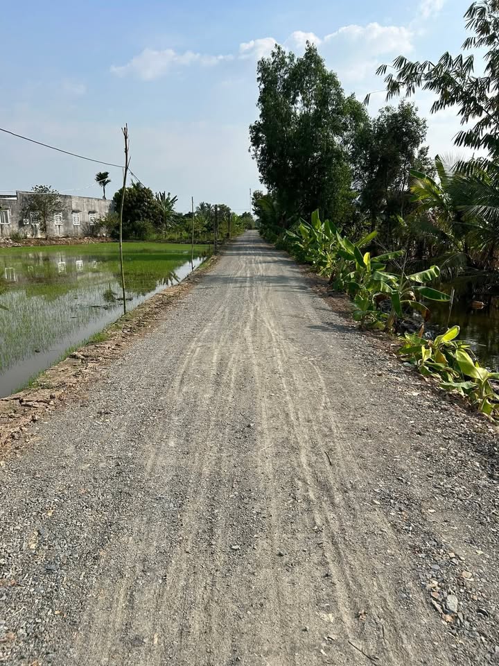 Đất lúa Mặt tiền đá xanh Bà Phổ, Bình Thạnh, Thủ Thừa - 1265m² giá chỉ từ 690 triệu!