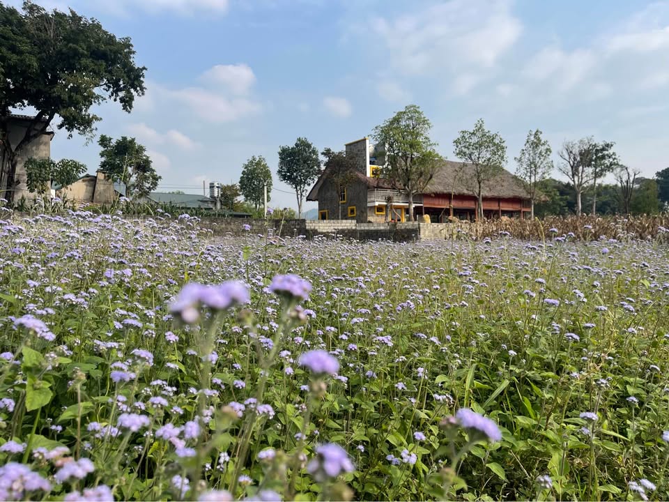 Đất nền Tuyên Quang 80m² giá thỏa thuận - Bán gấp trước Tết!