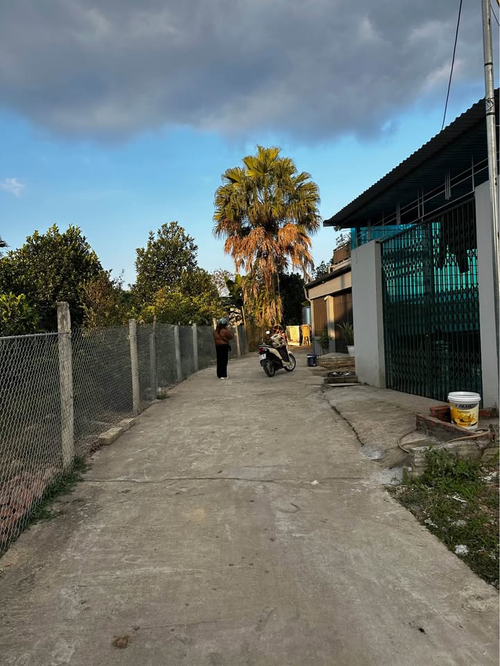 Đất thổ cư Kim Phú, Tuyên Quang 115m² giá chỉ 1 tỷ - Đầu tư sinh lời hấp dẫn!