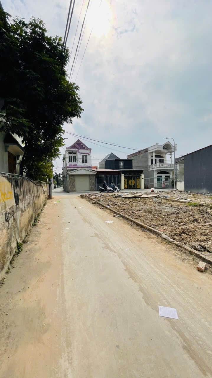 Đất nền Nam Sơn, An Dương, Hải Phòng 51,4m² - Đường ô tô thông thoáng, giá chỉ 1.6 tỷ!