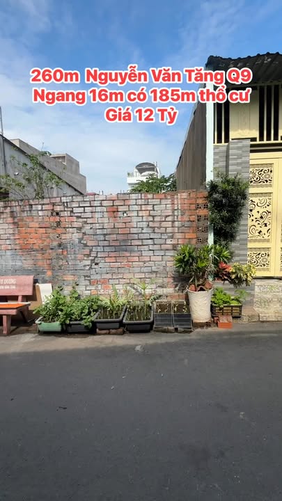 Đất nền 260m² đường Nguyễn Văn Tăng, Thủ Đức giá 12 tỷ - Cơ hội đầu tư lý tưởng!