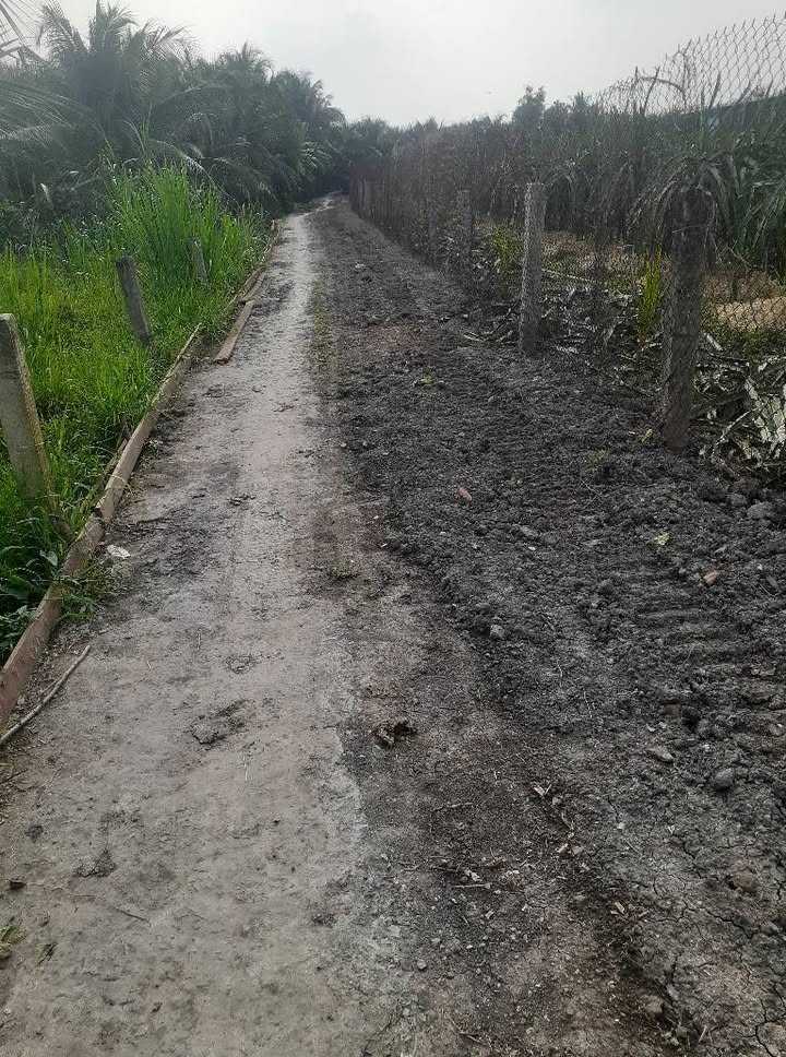 Nhà 3 phòng ngủ Lương Hòa Lạc 120m² - Thiết kế tân cổ điển, giá thỏa thuận!