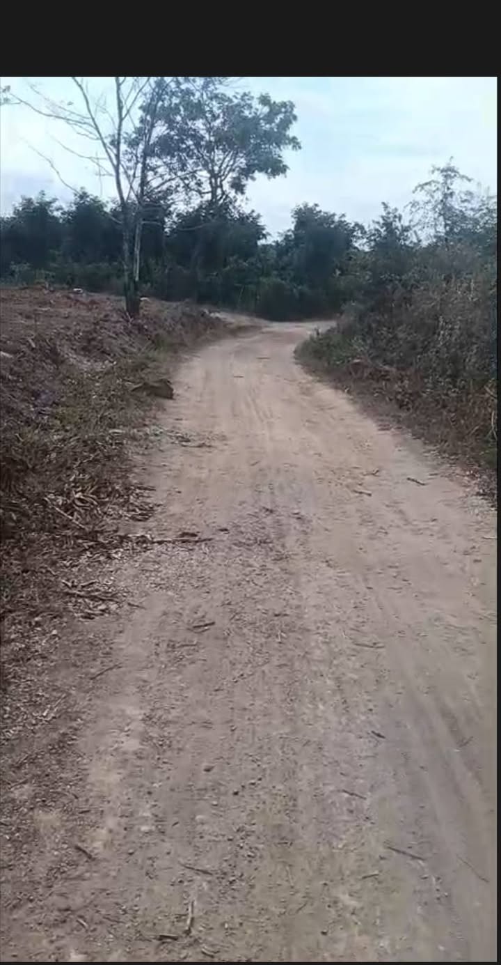 Farm Đắk Lắk 1.6ha giá 460.8 triệu - Lô rẫy đẹp gần tỉnh lộ