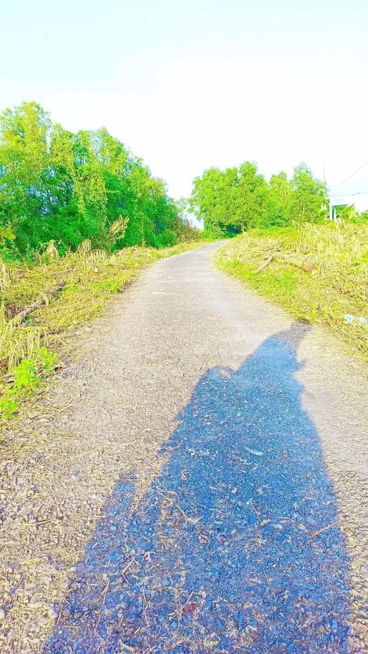 Đất nền thổ cư xã Phong Lạc, Cà Mau 372m² giá 2.1 tỷ - Sổ hồng đầy đủ!