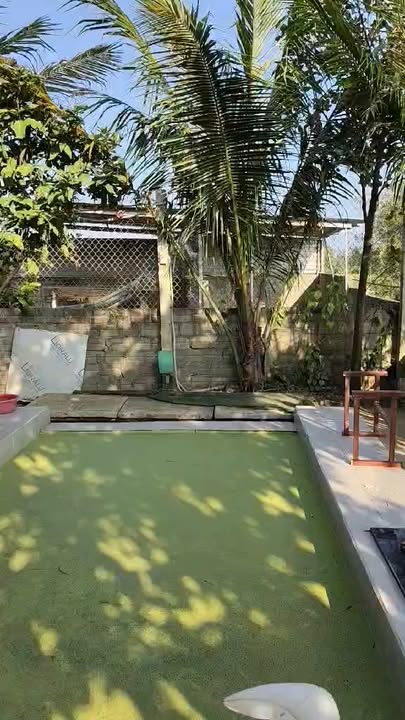 Nhà cho thuê tại Mai Đăng Chơn, Đà Nẵng 112m² giá 8 triệu - Không gian sân vườn rộng rãi!