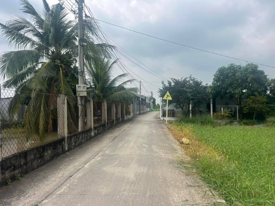 Đất nền Gò Công Đông 160m² giá 308 triệu - Sổ hồng chính chủ, thích hợp đầu tư!