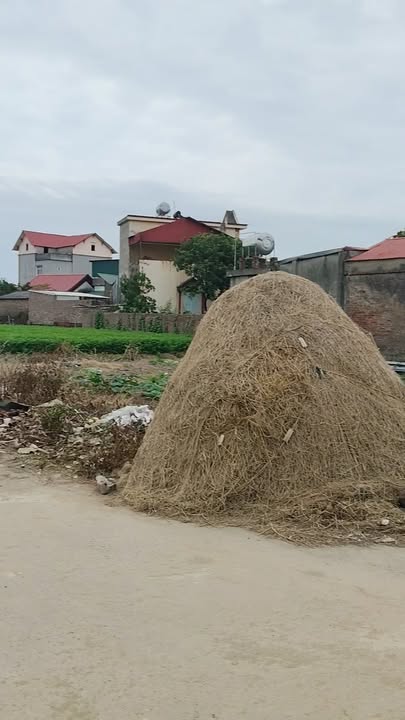 Đất nền Thái Tân, Nam Sách 92m² giá chỉ 700 triệu - Cơ hội đầu tư tuyệt vời!