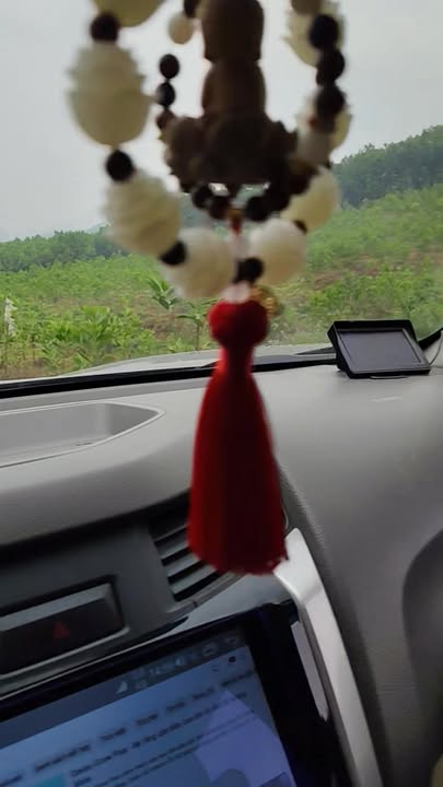 Đất đồi 5,9ha tại Chi Nê, Lạc Thủy - Giá tốt cho nhà đầu tư!