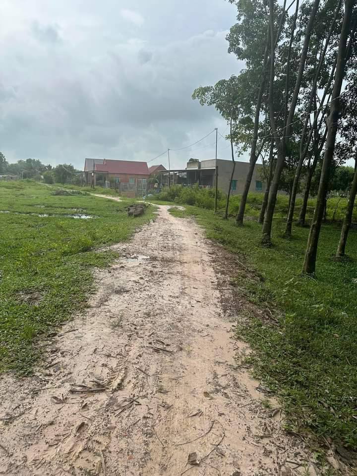 Đất vườn giá rẻ tại Trảng Bàng, Tây Ninh - 1270m² chỉ 1.3 tỷ