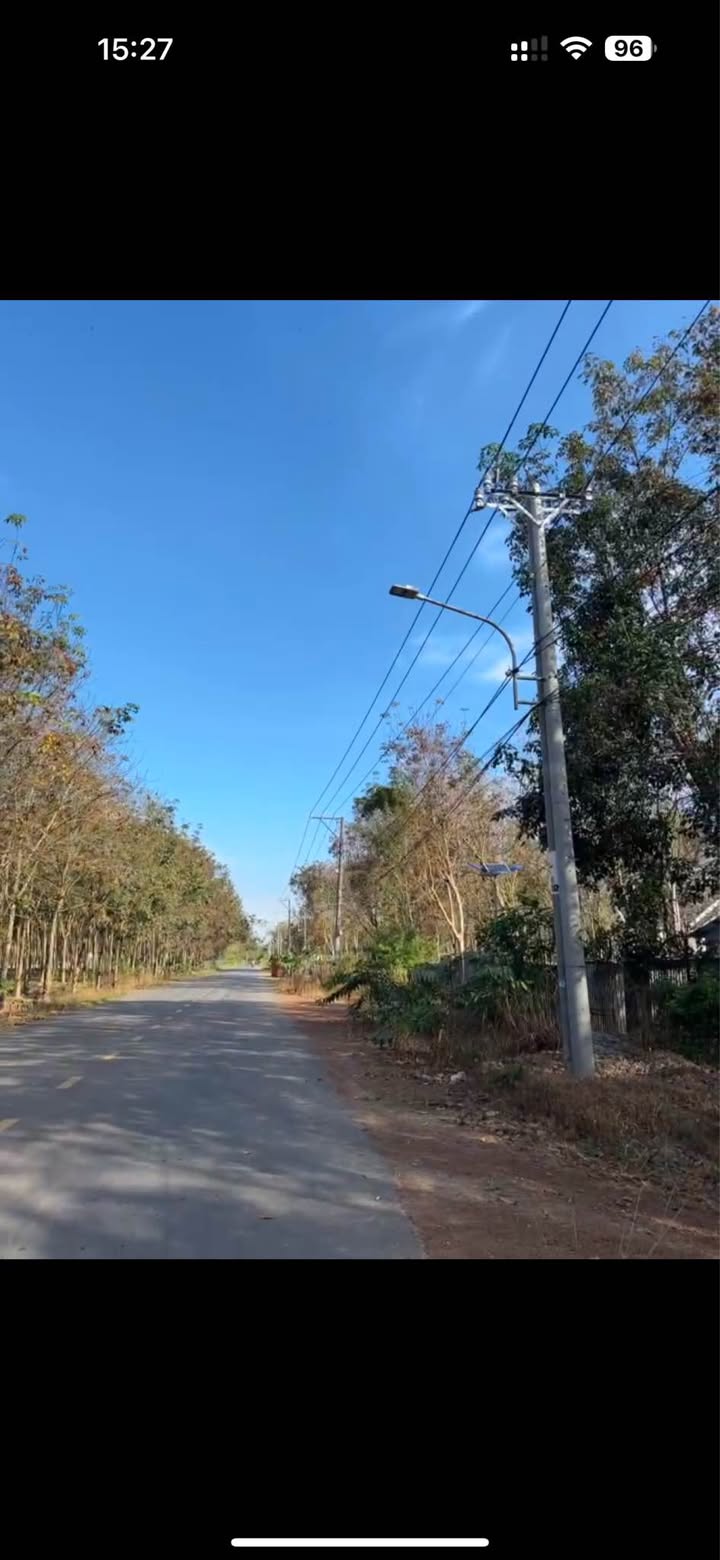 Đất nền Bàu Bàng Bình Dương 1ha giá 13 tỷ - Cơ hội đầu tư tuyệt vời!