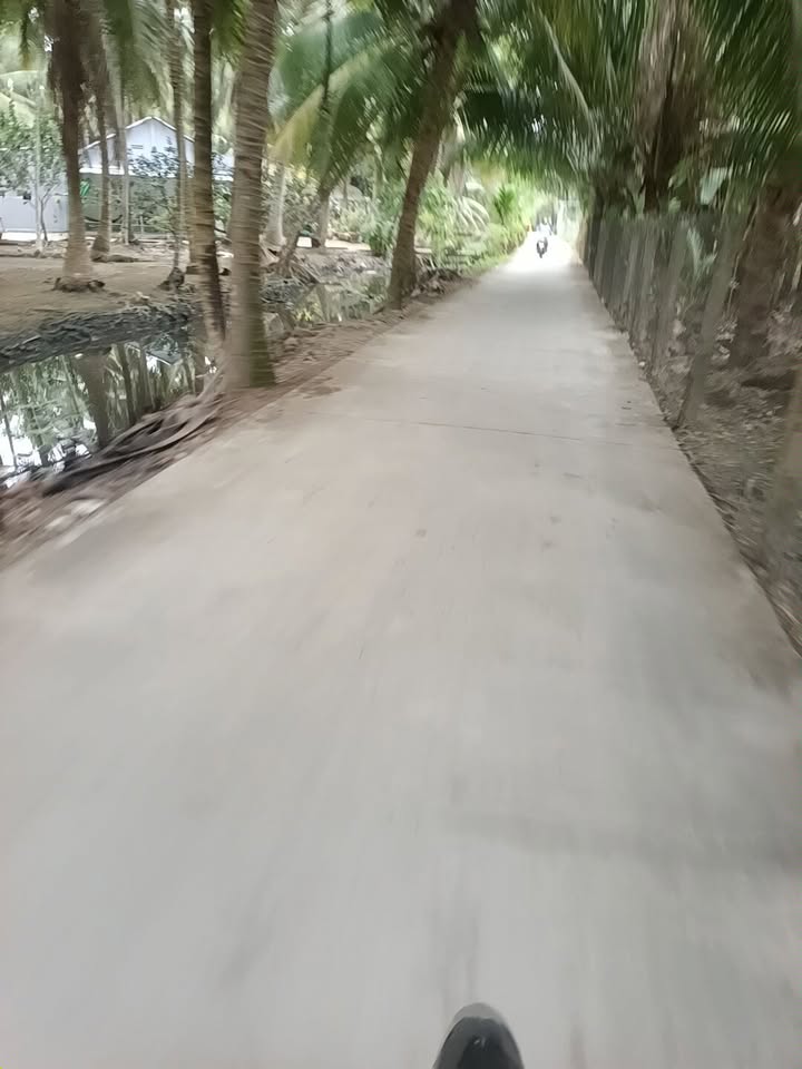 Đất nền Phong Thạnh, Cầu Kè 350m² giá thỏa thuận - Cơ hội đầu tư tuyệt vời!