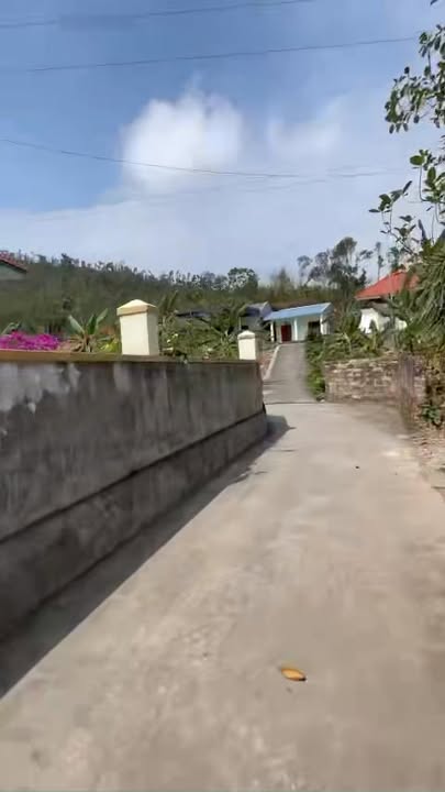 Đất thổ cư Việt Khê 540m² giá 2.2 tỷ - Tặng nhà mộc kiên cố ngay!