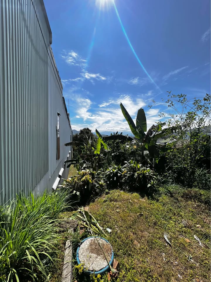 Nhà Mặt Tiền Kinh Doanh Quốc Lộ 20 Phường 3 Bảo Lộc 600m² giá 6.5 tỷ - Đầu tư sinh lời ngay!