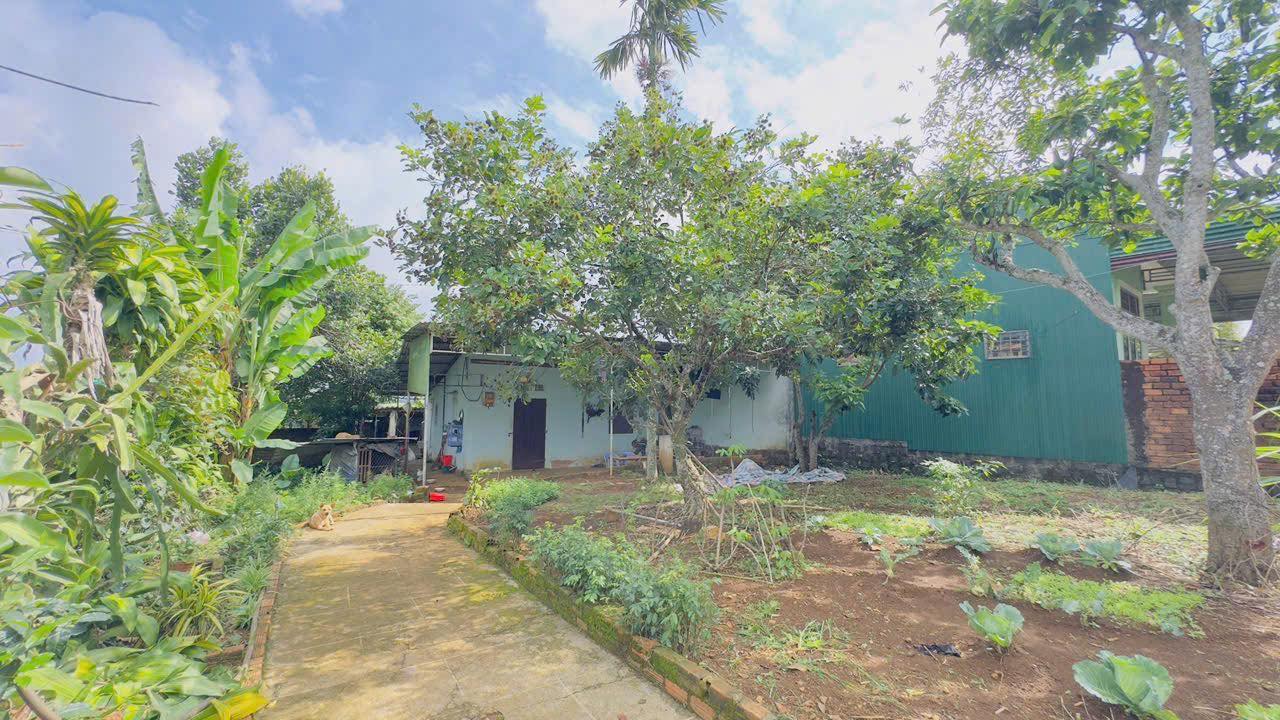 Đất Bùi Thị Xuân, Bảo Lộc 264m² giá 3.8 tỷ - Nhà cấp 4 sẵn ở ngay!