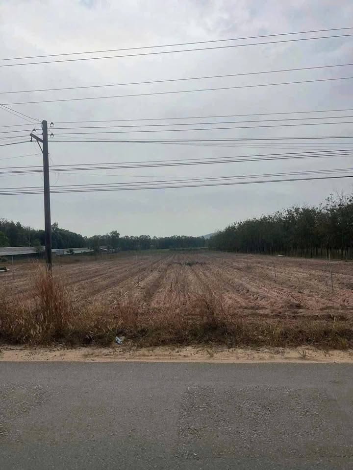 Đất nền Dầu Tiếng 14,000m² giá thỏa thuận - Mặt tiền đắc địa giáp Hồ