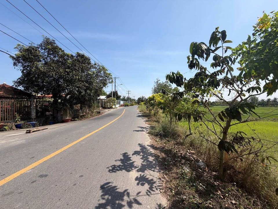 Đất nền Thái Mỹ, Củ Chi 590m² chỉ 2 tỷ - Sổ hồng chính chủ, giao ngay!