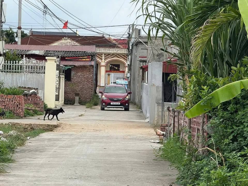 Đất nền góc 3 mặt thoáng tại Minh Tân, Kiến Thụy, Hải Phòng 105m² giá 2.1 tỷ - Cơ hội đầu tư hấp dẫn!