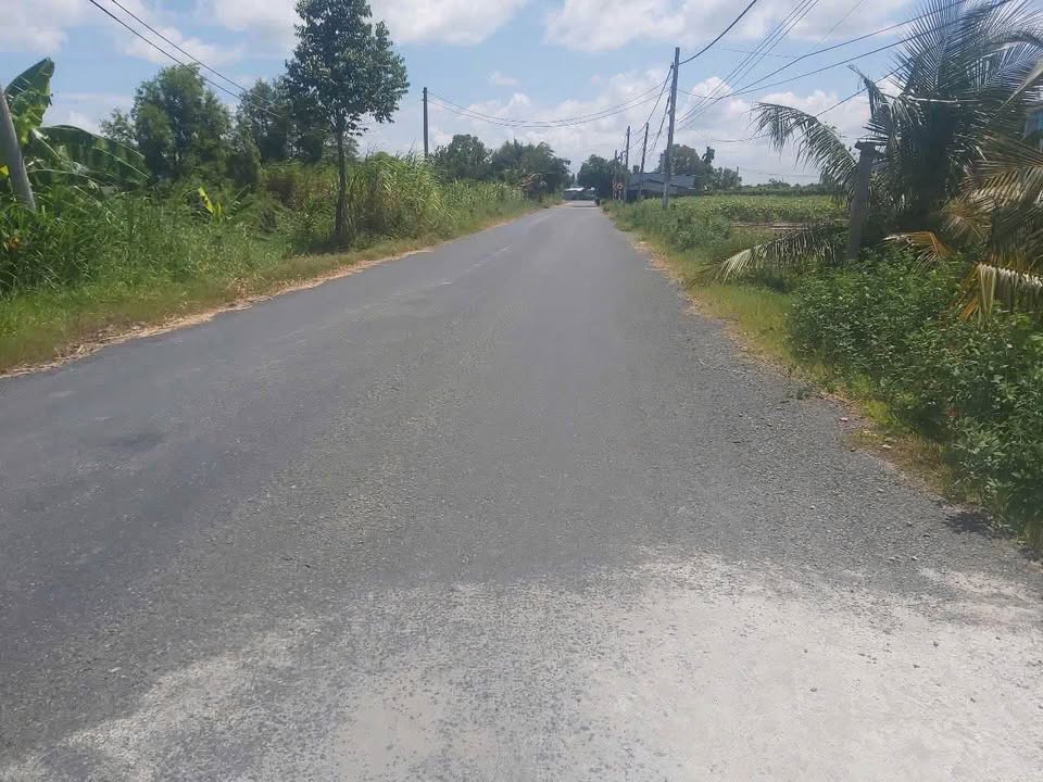 Đất lúa 1.054m² mặt tiền đường Đỗ Văn Giàu, Tân An - Cơ hội đầu tư hấp dẫn!