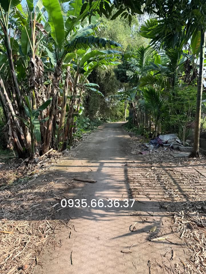 Lô đất đẹp 100m² tại Nghĩa Dũng, Quảng Ngãi - Chỉ 1 tỷ VND, sổ đỏ chính chủ!