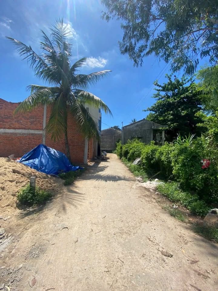 Đất nền Hẻm 116 Tô Hiến Thành 53m² giá 790 triệu - Sổ hồng chính chủ, thương lượng ngay!