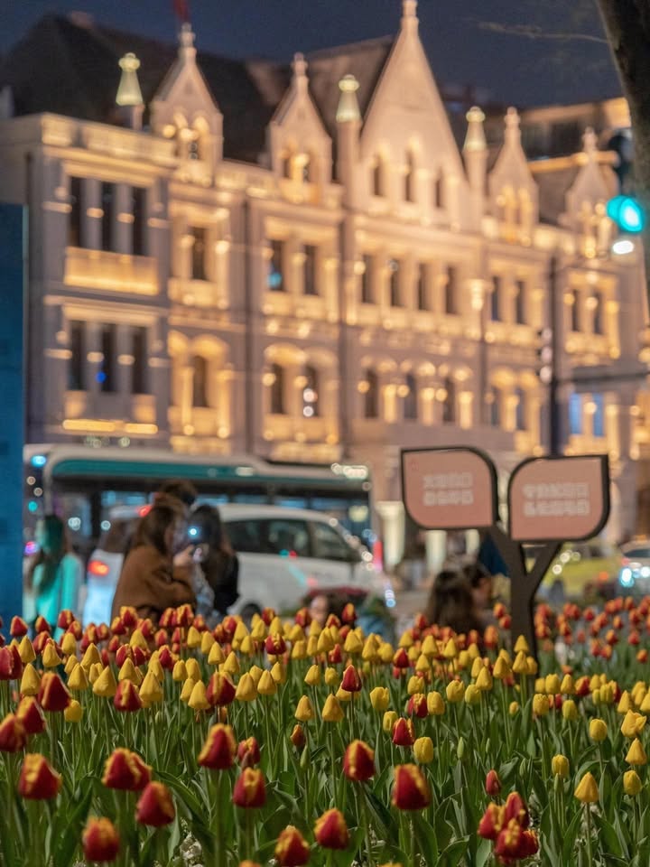 Nhà 3 tầng hiện đại tại Mỹ Đa Tây, Đà Nẵng 100m² giá 9 tỷ - Sẵn sàng vào ở!