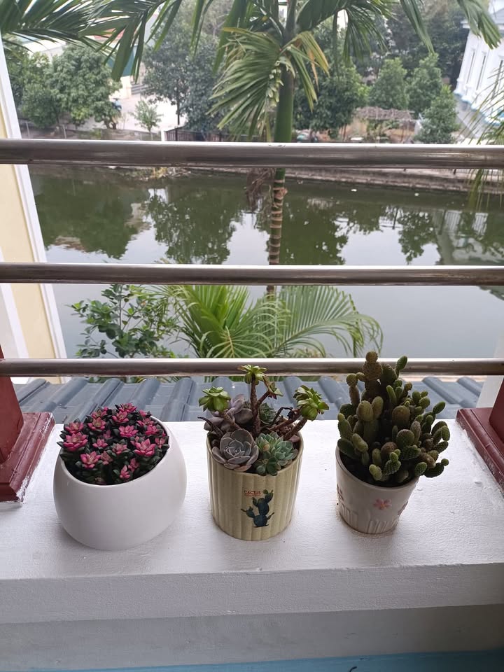 Đất nền Phú Đa, Hồng Khê, Bình Giang 70.5m² - Ô tô vào tận đất, giá thỏa thuận!