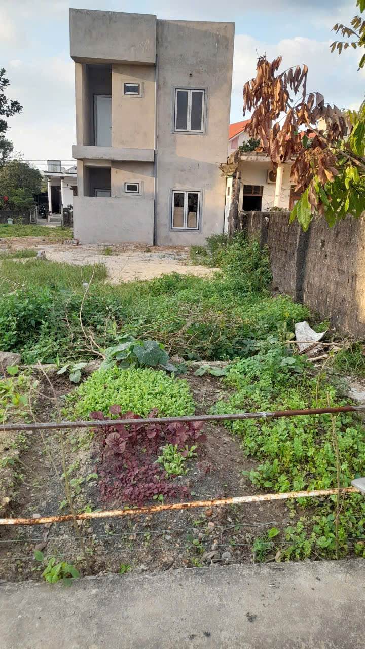 Đất nền hẻm 286 Phan Đình Phùng 99m² giá 1.1 tỷ - Sổ đỏ chính chủ, nở hậu