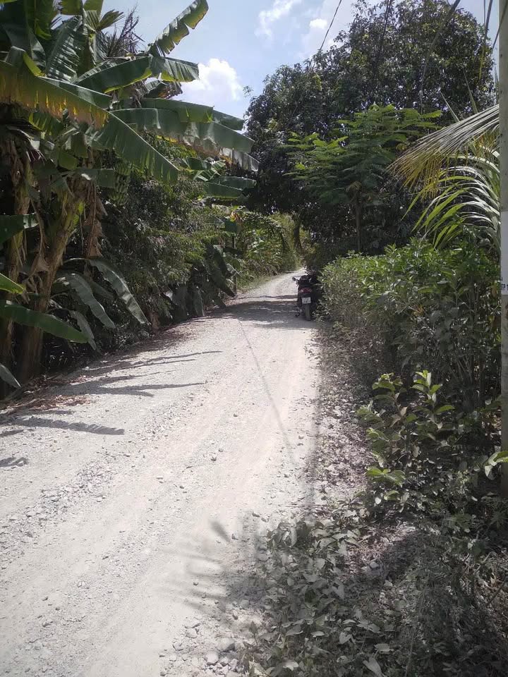 Đất thổ cư Hướng Thọ Phú, Tân An 212m² giá 1.5 tỷ - Sổ hồng chính chủ, thương lượng ngay!