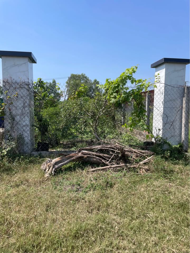 Đất thổ cư Hòa Khánh Nam, Đức Hòa 160m² giá 790 triệu - Sổ hồng riêng, ô tô vào tận nơi!