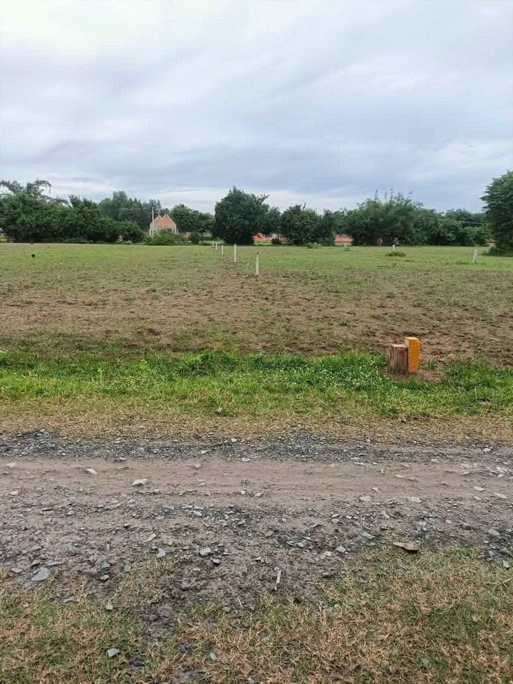 Đất vườn An Ninh Đông, Đức Hòa, Long An 600m² giá 1.35 tỷ - Cơ hội đầu tư hấp dẫn!