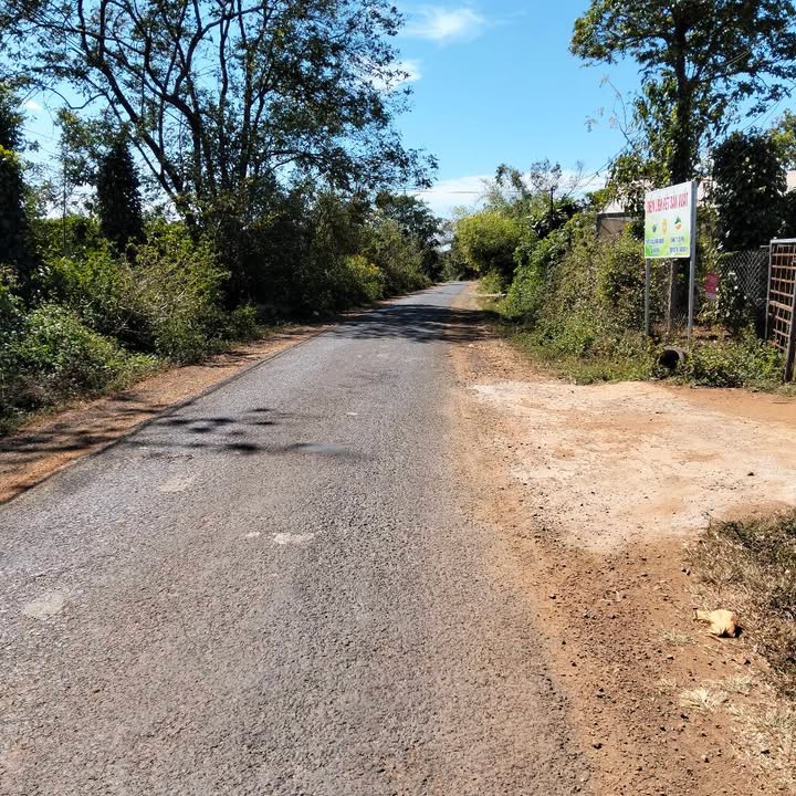 Đất nông nghiệp xã Ia Hrung 3960m² giá 450 triệu - Sổ đỏ chính chủ, mặt tiền đường lớn!